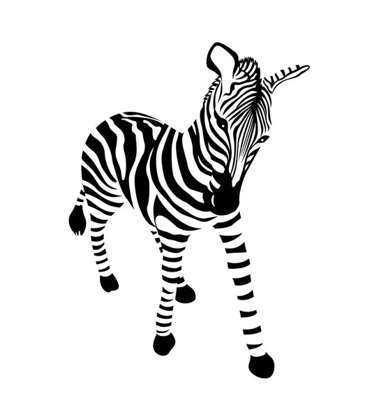 Striped Black White Zebra Wild Animal Texture Vector Illustration Isolated — Stock Vector