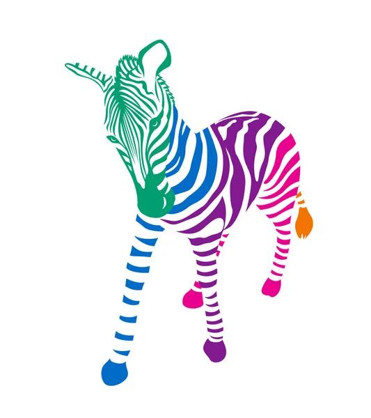 Pruhované Barevné Zebra Divokých Zvířat Texturu Ilustrace Izolované Bílém Pozadí — Stockový vektor