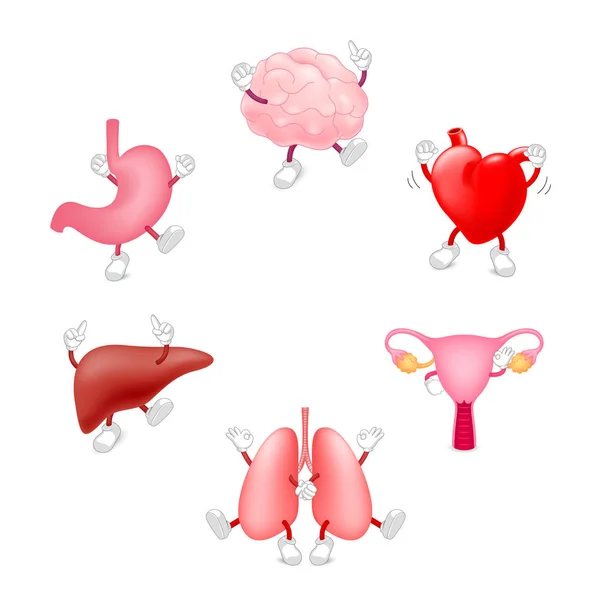 Set Funny Cute Cartoon Internal Organs Healthy Characters Brain Lung — Stock Vector