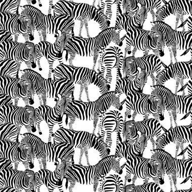 Zebra seamless modeli. Vahşi hayvan doku. Çizgili siyah ve beyaz. Tasarım moda kumaş dokusu, illüstrasyon.