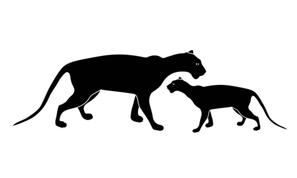 Panthère Noire Silhouette Mère Enfant Des Animaux Sauvages Illustration Vectorielle — Image vectorielle
