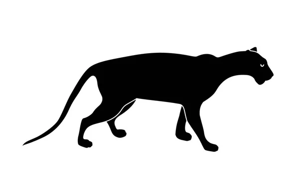 Silhouette Panthère Noire Des Animaux Sauvages Illustration Vectorielle Isolée Sur — Image vectorielle