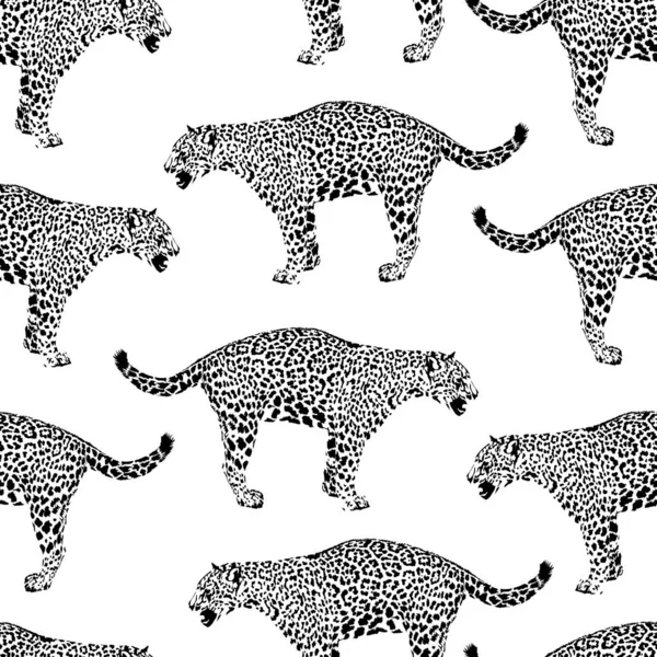 Zebra Leopardo Mistura Padrão Fundo Sem Costura Preto Branco Impressão —  Vetores de Stock