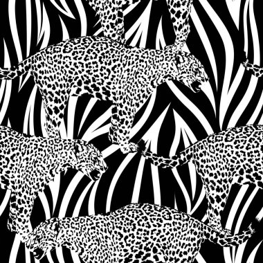 Zebra ve leopar desenleri karışımı. Siyah ve beyaz pürüzsüz bir arka plan. Vahşi hayvan izi. Görüntü.