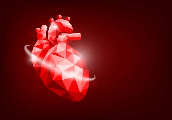 Corazón Humano Poligonal Concepto Protección Del Corazón Ilustración — Archivo Imágenes Vectoriales