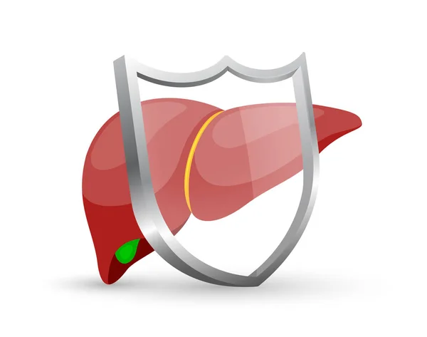 Signo Hígado Humano Con Escudo Concepto Protección Salud Ilustración — Vector de stock