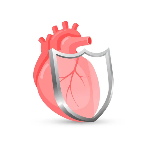 带盾牌的抽象人类心脏 卫生保健概念 在白色背景上孤立的向量图 — 图库矢量图片