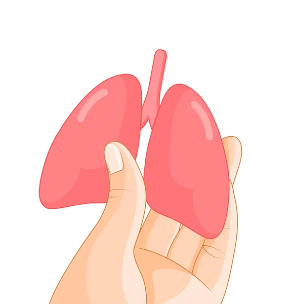 Hand Holding Human Organ Lung Human Body Part Internal Organs — Stock Vector