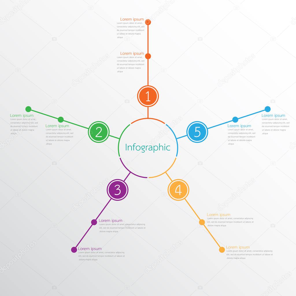 Vector infographic templates for detailed reports from the various process steps.