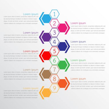 Detaylı raporlar için kullanılan vektör bilgi şablonları. Tüm 9 başlık.