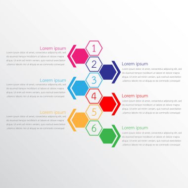 Detaylı raporlar için kullanılan vektör bilgi şablonları. 6 konunun hepsi.