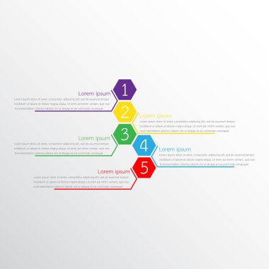 Detaylı raporlar için kullanılan vektör bilgi şablonları. 5 konunun hepsi.