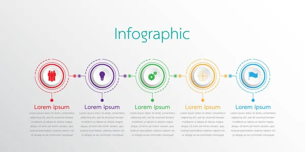 Vector Infographic Templates Used Detailed Reports All Topics — Stock Vector