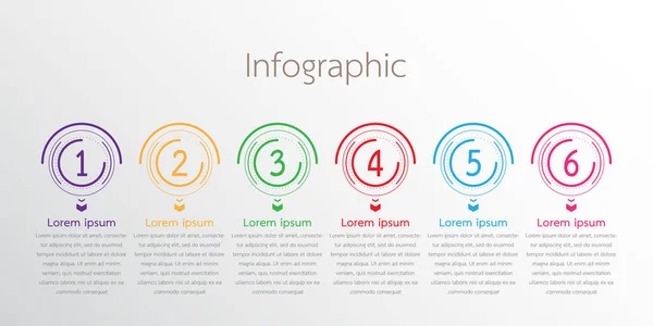 Vector Infographic Templates Used Detailed Reports All Topics — Stock Vector