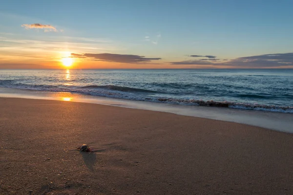 Wschód słońca na plaży były oglądane przez Krab — Zdjęcie stockowe