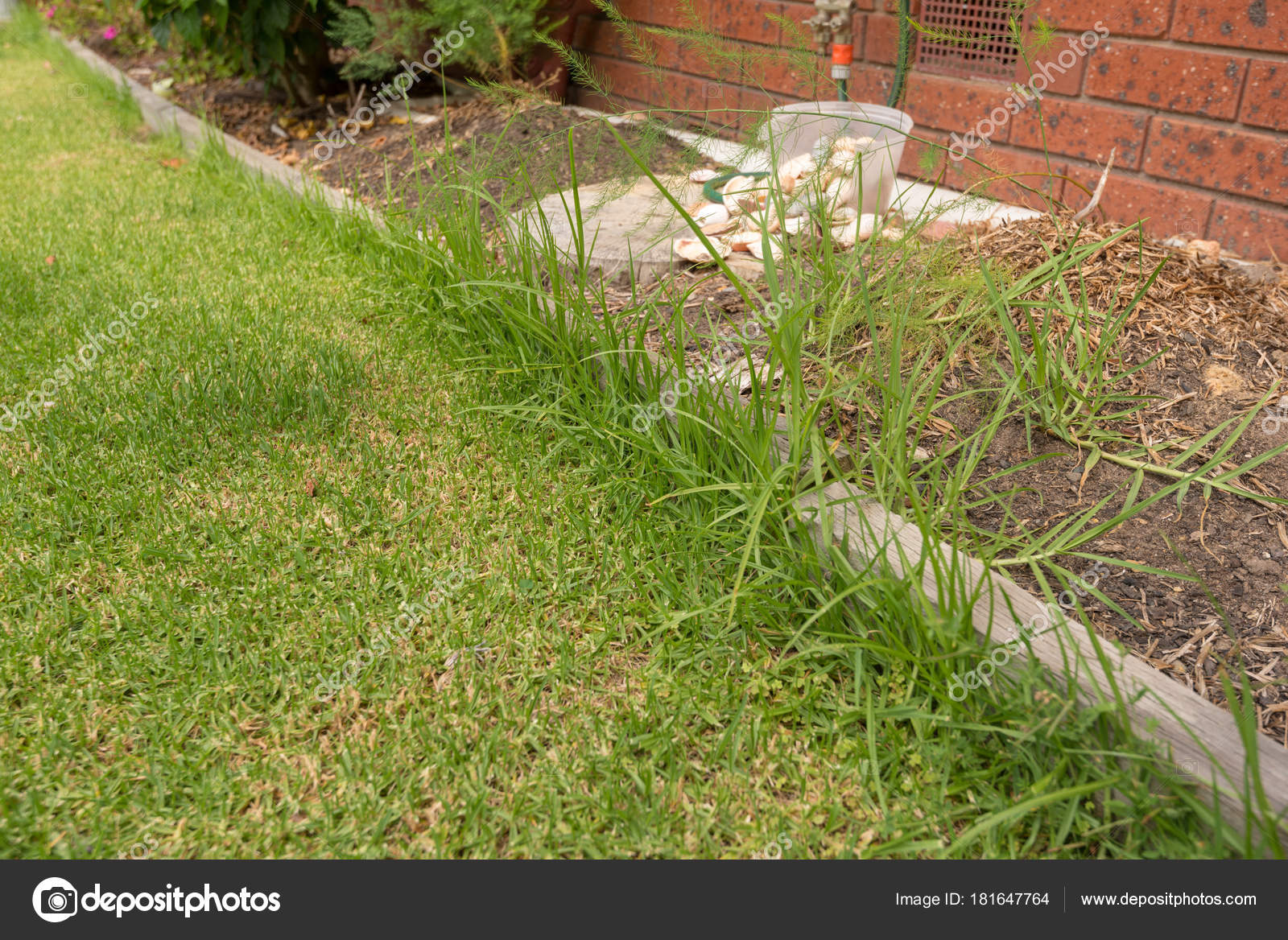 Overgrown lawn edge Stock Photo by ©pomemick 181647764