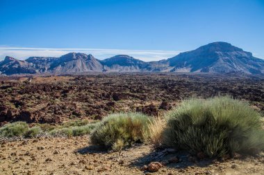 Teide Milli Parkı