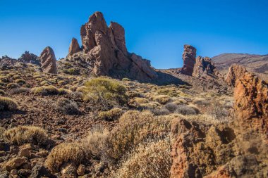 Teide Milli Parkı