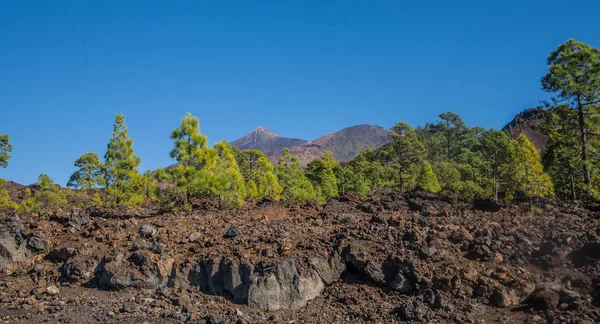 Teide Milli Parkı