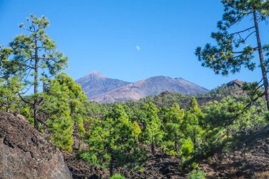 Teide volkanın görünümü 
