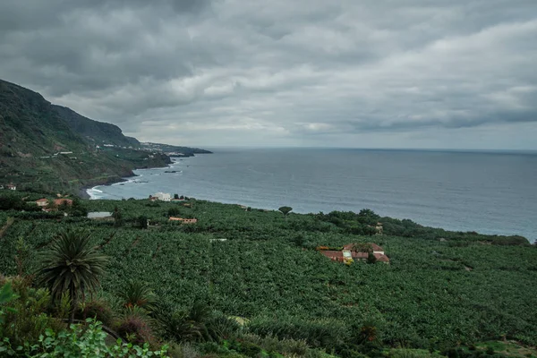 Paisaje en la costa de Los Realejos, al norte de Tenerife — Foto de Stock
