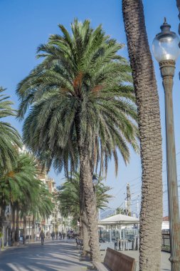 Sahil mesire mavi gökyüzü altında palmiye ağaçları ile çevrili Badalona