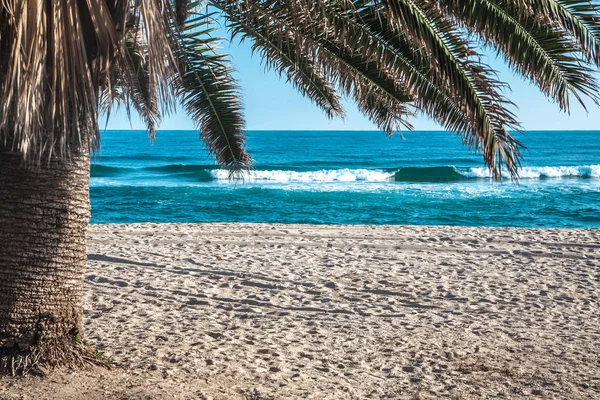 Uitzicht op zee onder de palmboom — Stockfoto