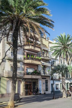 Sahil mesire mavi gökyüzü altında palmiye ağaçları ile çevrili Badalona