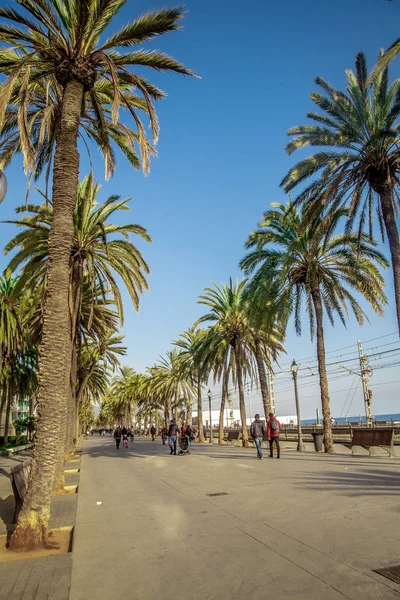 Strandpromenade in Badalona umgeben von Palmen unter blauem Himmel — Stockfoto