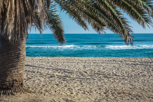 Vista al mar bajo la palmera — Foto de Stock