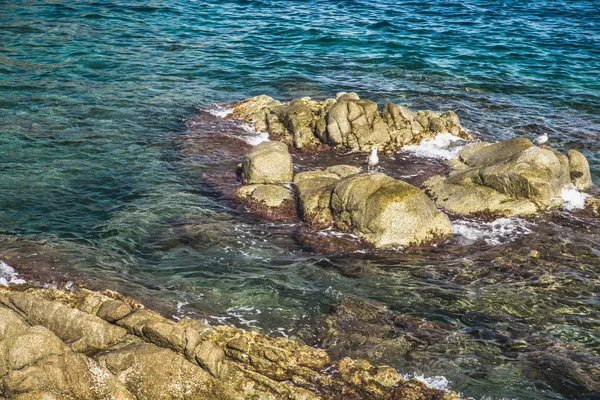 Paysage Marin Sur Costa Brava Catalogne Espagne — Photo