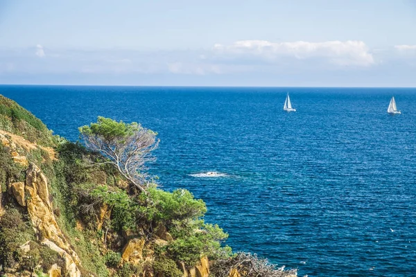 Küstenlandschaft Der Costa Brava Katalonien Spanien Stockbild