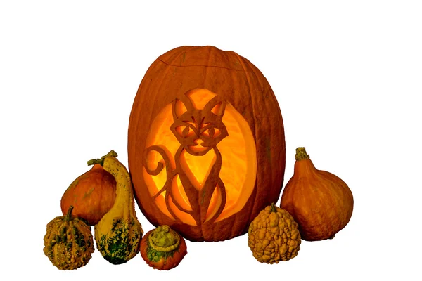 Spooky halloween balkabağı