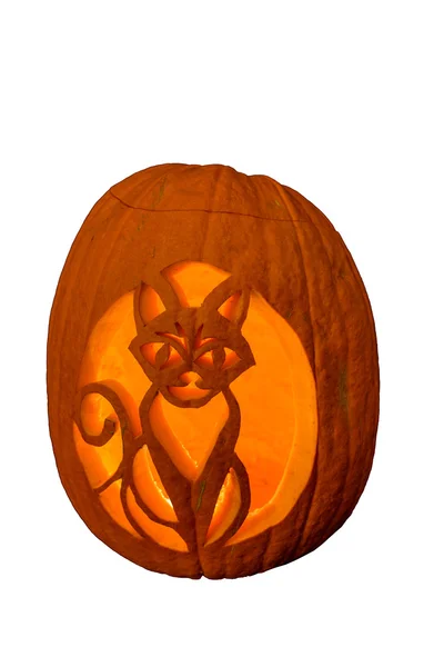 Spooky halloween balkabağı
