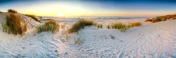 Dune Costiere Spiaggia Mare Panorama — Foto Stock