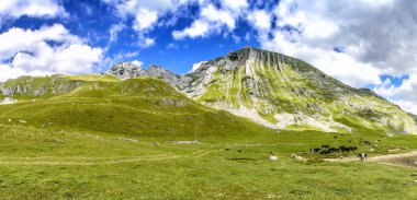 Karadağ dağları, Durmitor Piva, Tara Panorama