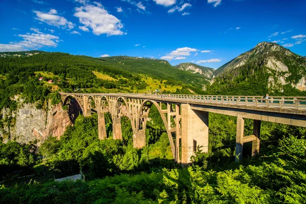 Karadağ dağları, Durmitor Piva, Tara Panorama