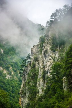Karadağ, Karadağ dağlar, deniz ve dağların güzel manzara. Panorama