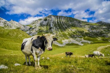 Karadağ, Karadağ dağlar, deniz ve dağların güzel manzara. Panorama