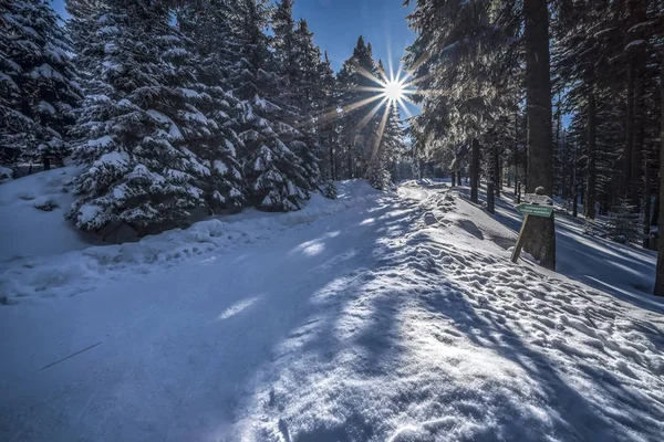 Beautiful Landscape Winter Karkonosze Mountains Panorama — Stock Photo, Image