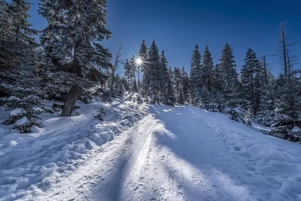 Beautiful Landscape Winter Karkonosze Mountains Panorama — Stock Photo, Image