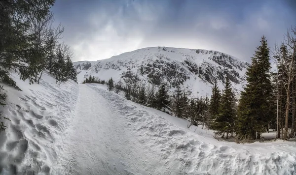 Hermoso Paisaje Invierno Karkonosze Montañas Panorama —  Fotos de Stock