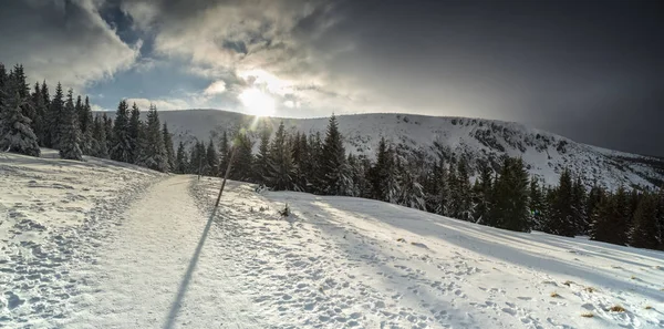 Hermoso Paisaje Invierno Karkonosze Montañas Panorama —  Fotos de Stock