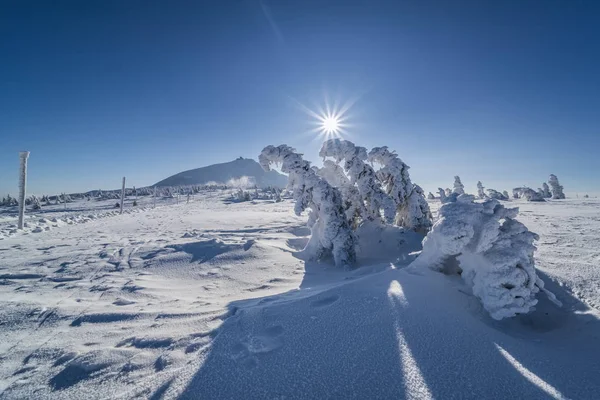 Beau Paysage Hiver Karkonosze Montagnes Panorama — Photo