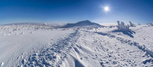 Piękny Krajobraz Zimowych Karkonoszy Panorama — Zdjęcie stockowe