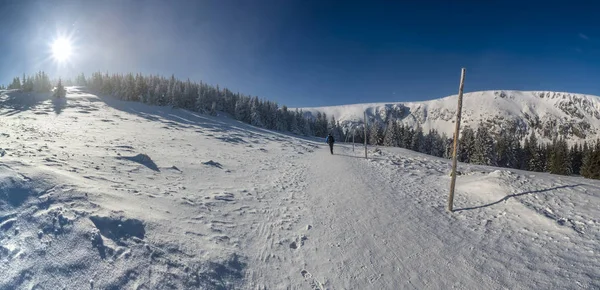 Hermoso Paisaje Invierno Karkonosze Montañas Panorama —  Fotos de Stock