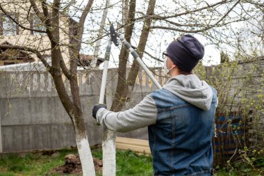 Bahçıvanlık. Beyaz maskeli, gözlüklü ve siyah eldivenli bir adam arka bahçesindeki ağaçların dallarını kesiyor. COVID-19. Avrupa 'da Coronavirus. Salgın yaşam.