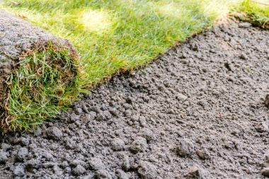 taze çimen çimen rulo yeni peyzajlı bir çim ekili