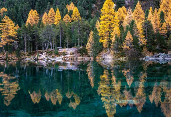 阿尔卑斯山上美丽的高山湖泊上的五颜六色的倒影和黄色的落叶松 — 图库照片