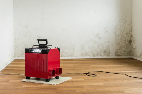 Red Dehumidifier Empty Apartment Room Mildew Toxic Mold Walls — Stock Photo, Image